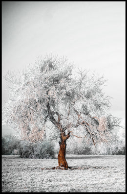 WinterS Embrace Poster