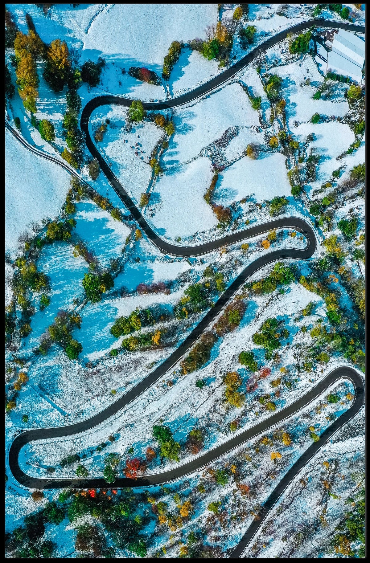 Serpentine Winter Road Poster