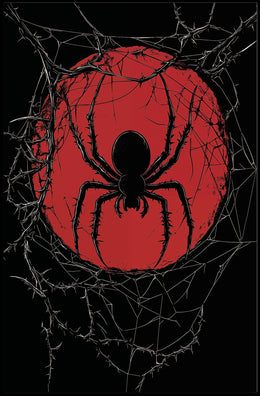 Spider Silhouette Graphic Ominous Dark Poster