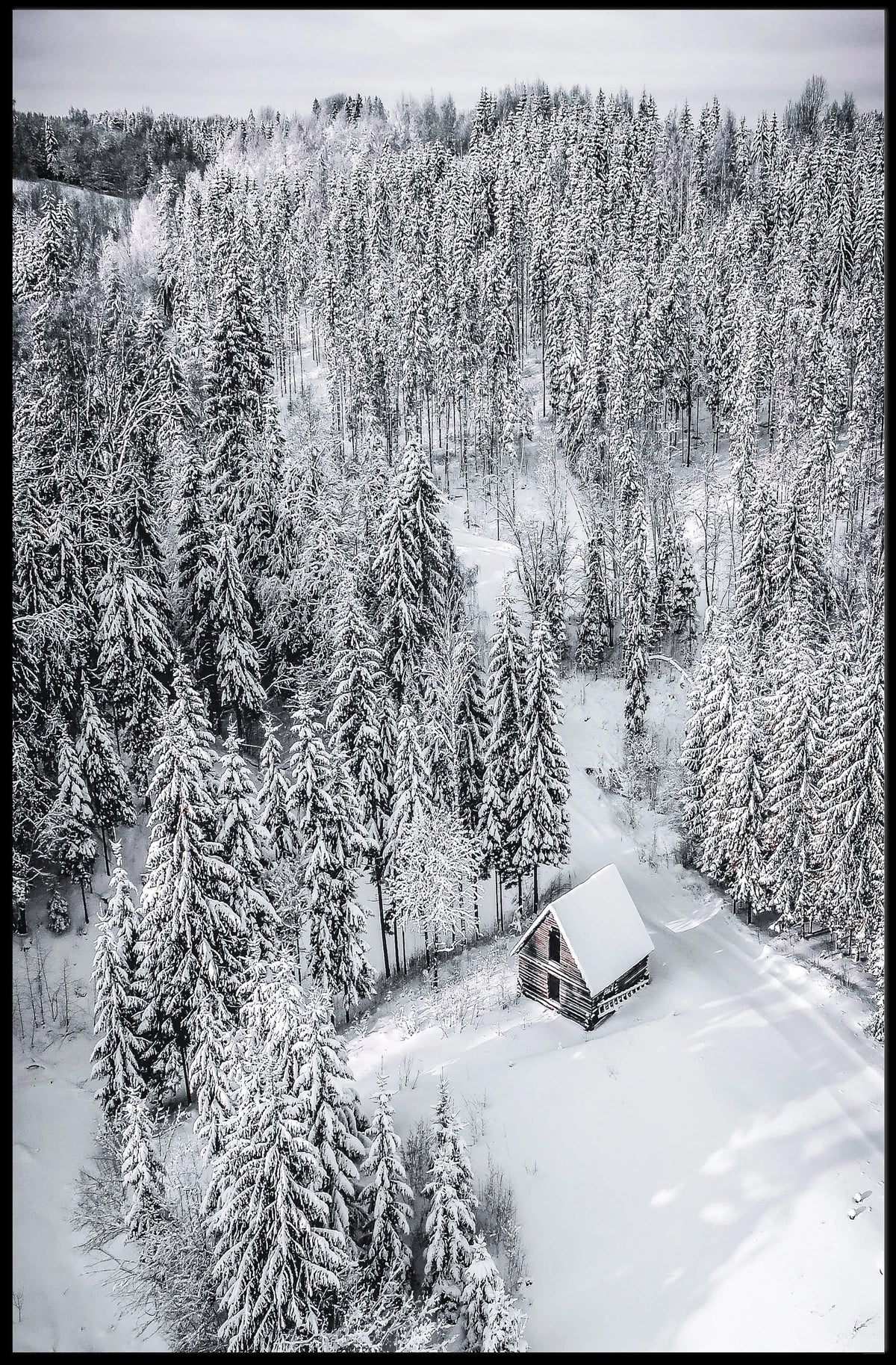 Winter Serenity Poster