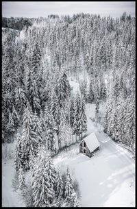 Winter Serenity Poster