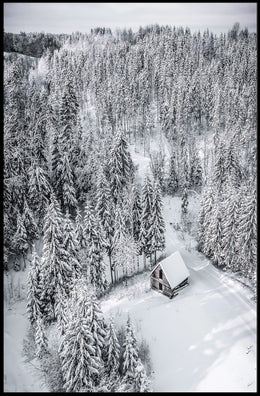 Winter Serenity Poster