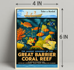 Marine Wonders of the Great Barrier Reef Poster PosterGoat