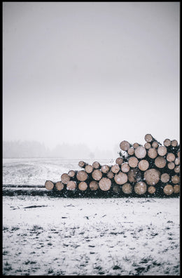Serene Winter Timber Scene National Park Poster