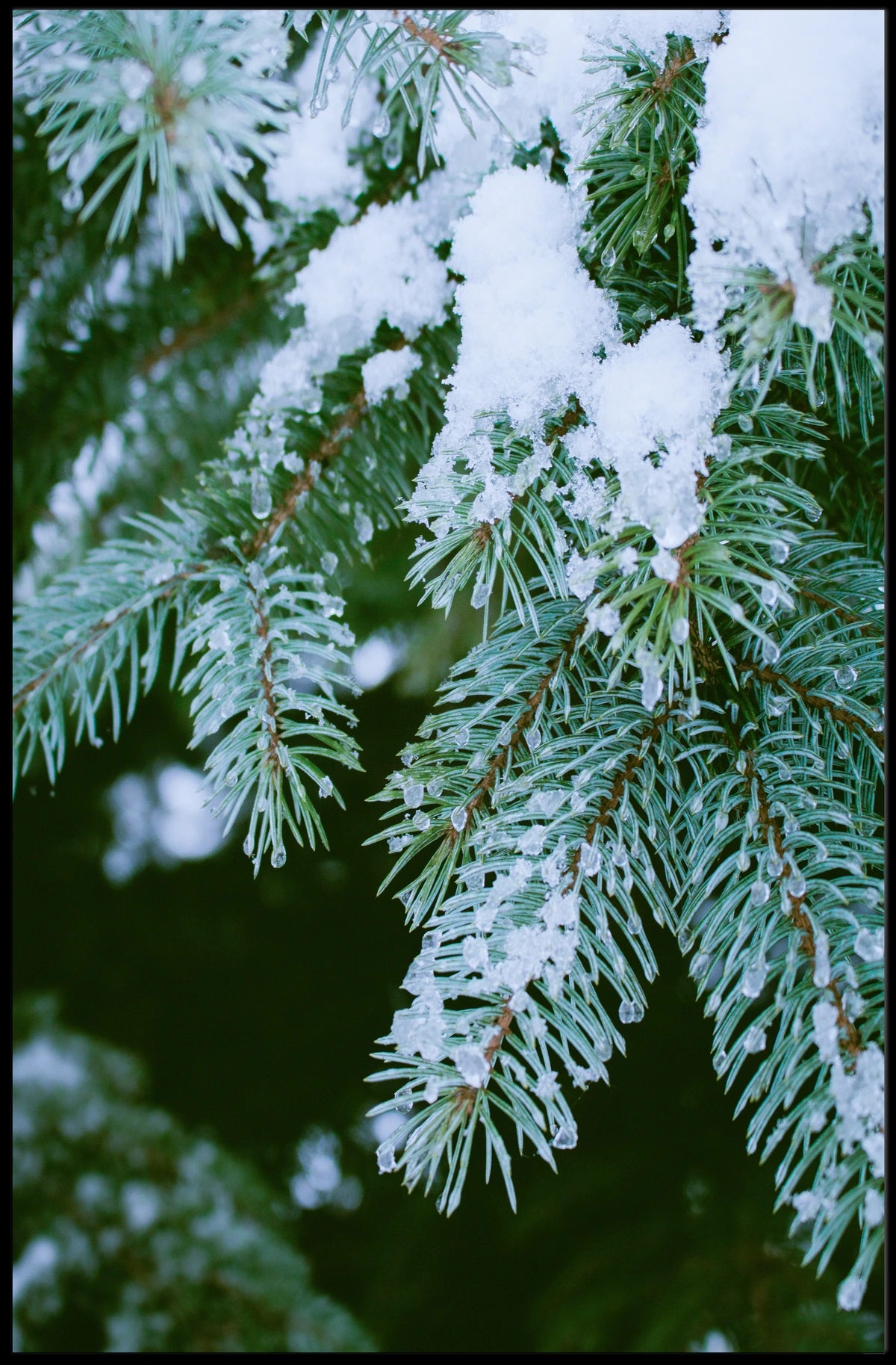 WinterS Touch Poster