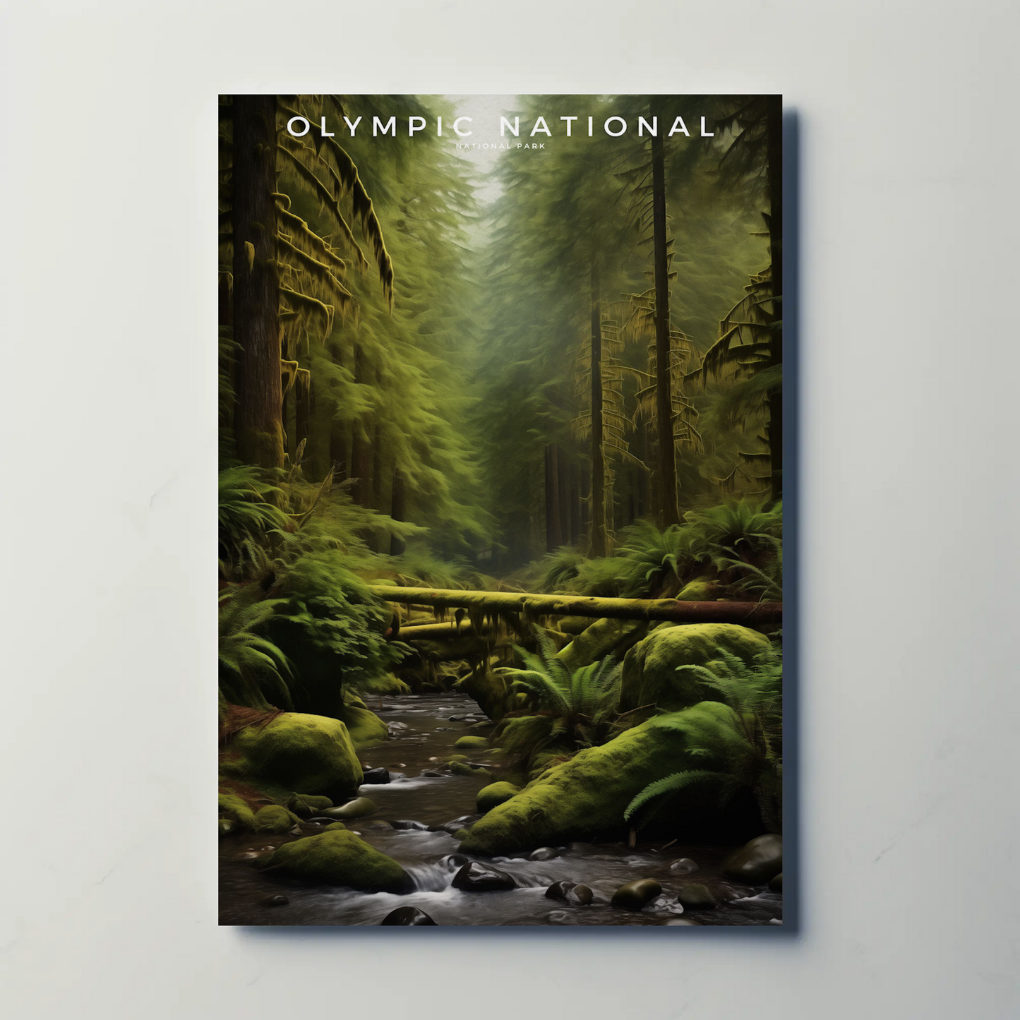 Olympic National Park Poster