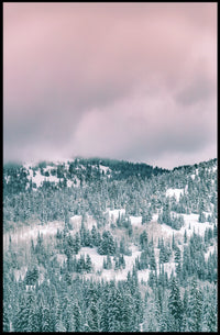 Winter Wonderland Landscape with Serene National Park Poster
