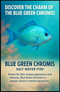Discover The Charm Of The Blue Green Poster