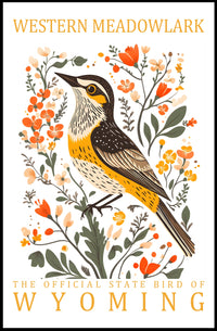 Western Meadowlark Wyoming State Bird Art Poster