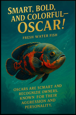 Oscar Fish Modern Art Poster: Bold & Colorful