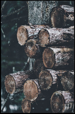Stacked Logs Woodland Serenity: National Park Poster