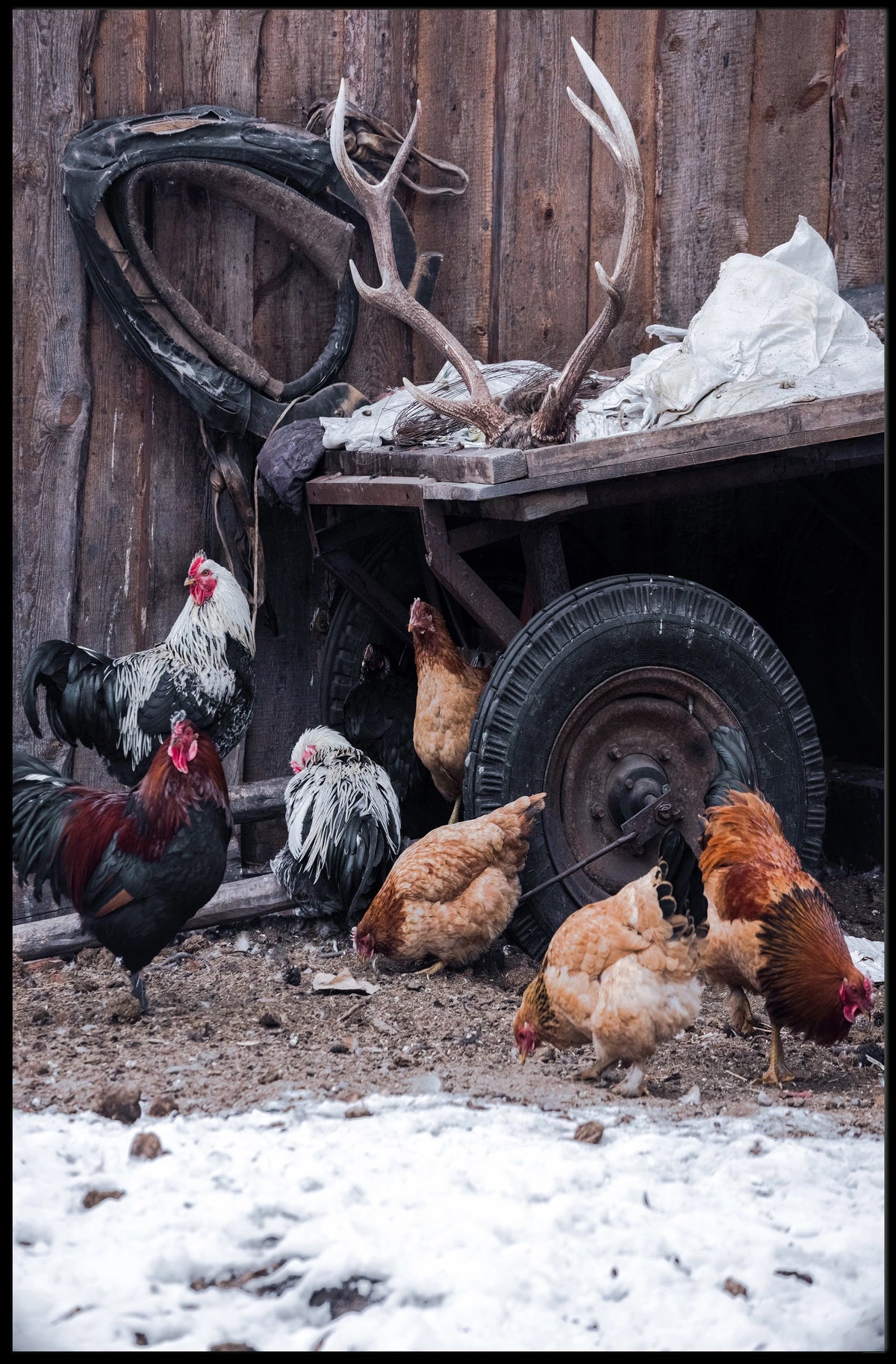 Rustic Farmyard Scene Poster