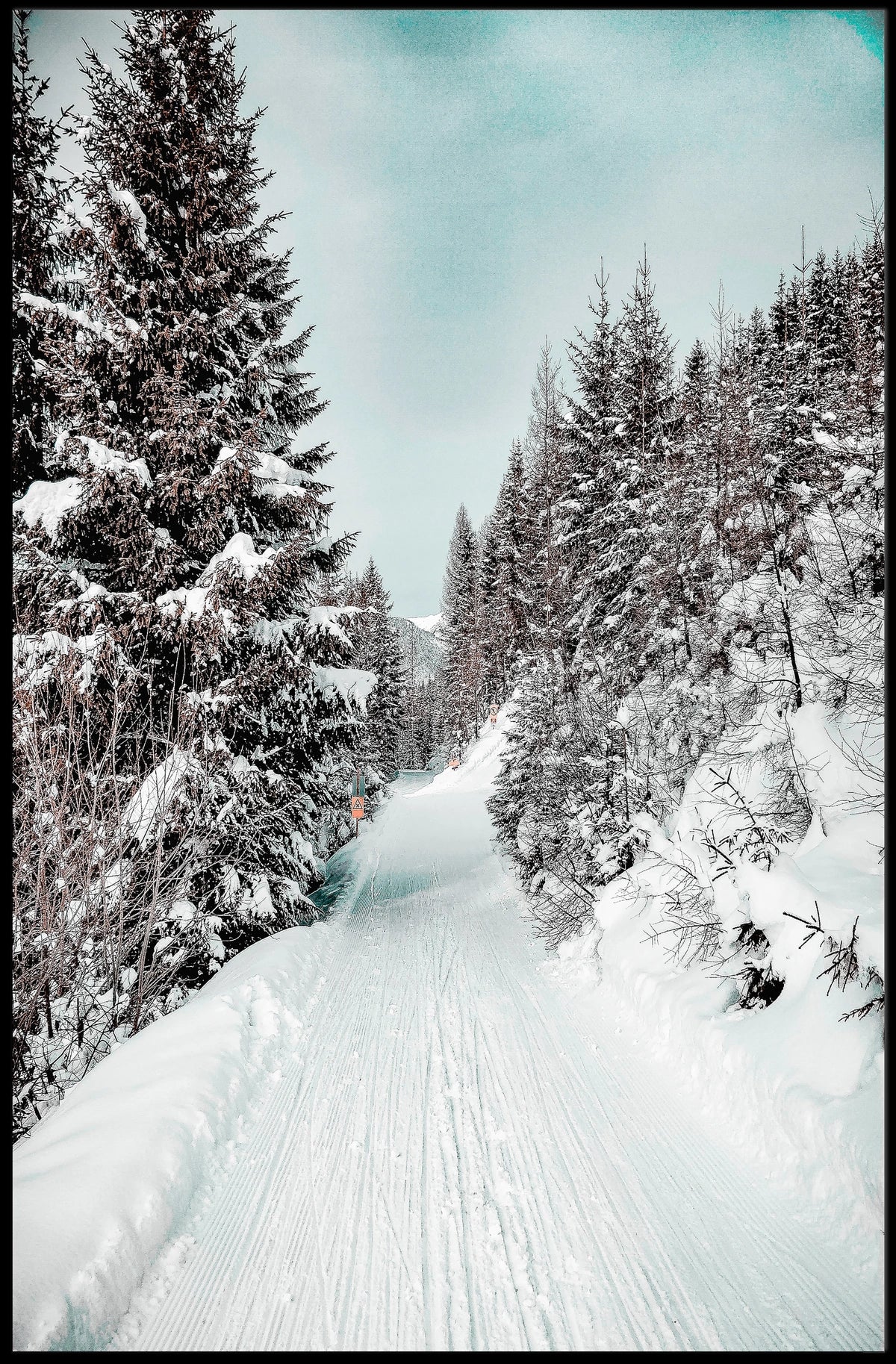 Winter Wonderland Pathway Poster