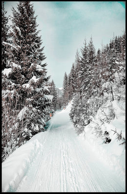 Winter Wonderland Pathway Poster