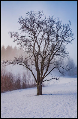 Winter Serenity: Minimalist Artistic Poster