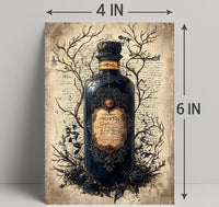 The Enchanted Elixir Poster