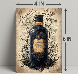 The Enchanted Elixir Poster