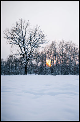 Winter Serenity Poster