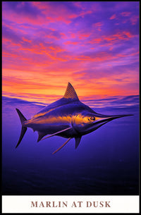 Marlin at Dusk Poster PosterGoat