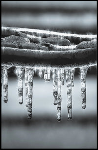 Icicle Serenity: Winter Calm Artistic Poster