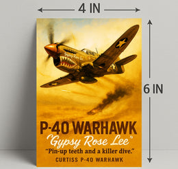 Gypsy Rose Lee P-40 Warhawk Poster PosterGoat