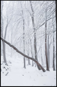 Winter Wonderland Poster