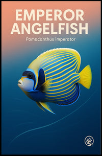 Emperor Angelfish Poster