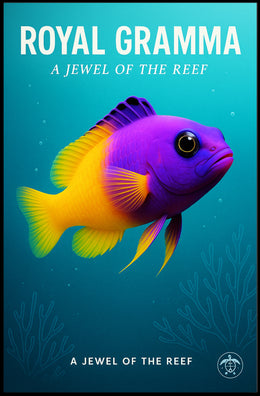Royal Gramma A Jewel of the Reef Poster PosterGoat