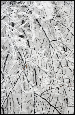 Winter Woodland Serenity: Abstract or Artistic Poster