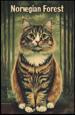 Norwegian Forest Cat Portrait Art Print Decor Poster