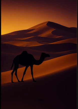Camel Silhouette at Sunset Travel Poster