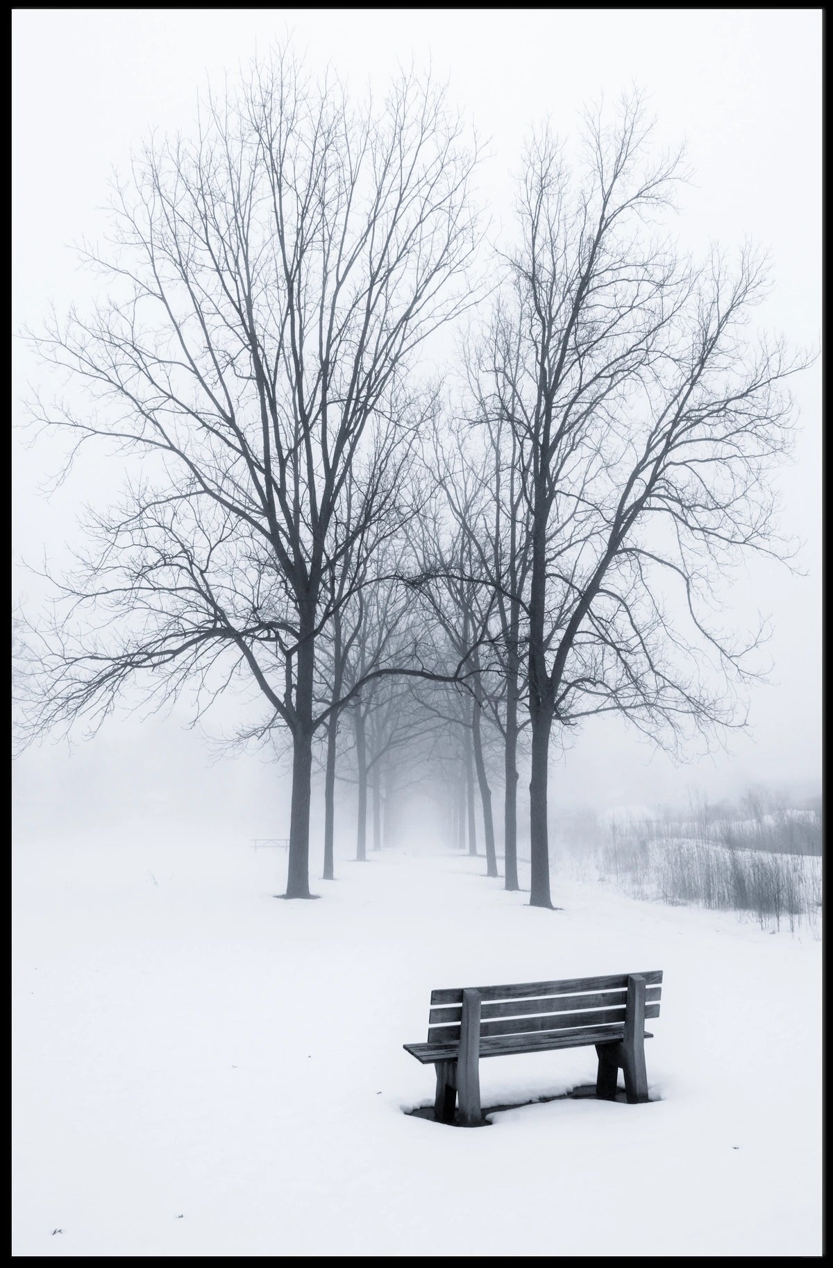 Winter Serenity Poster