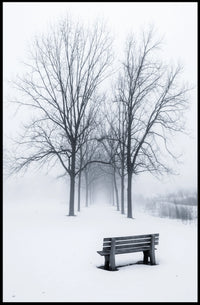 Winter Serenity Poster