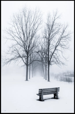 Winter Serenity Poster