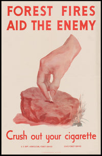 Forest Fires Aid the Enemy Poster PosterGoat