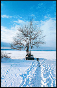 Winter Serenity Poster