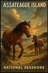 Assateague Island National Seashore Poster