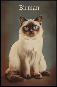 Birman Cat Portrait In Realistic Photography Style Poster