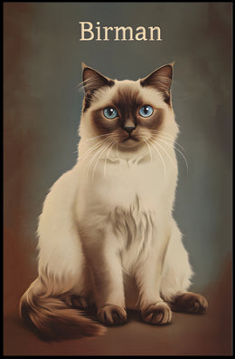 Birman Cat Portrait In Realistic Photography Style Poster