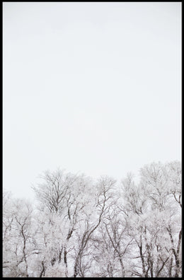 Serene Winter Landscape: Artistic and Minimalist Poster