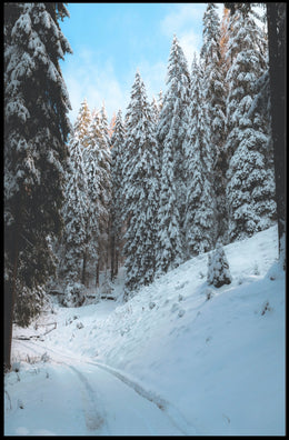 Serene Snowy Forest Pathway National Park Poster
