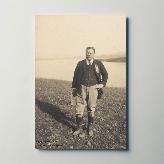 Theodore Roosevelt 1911 Vintage Poster