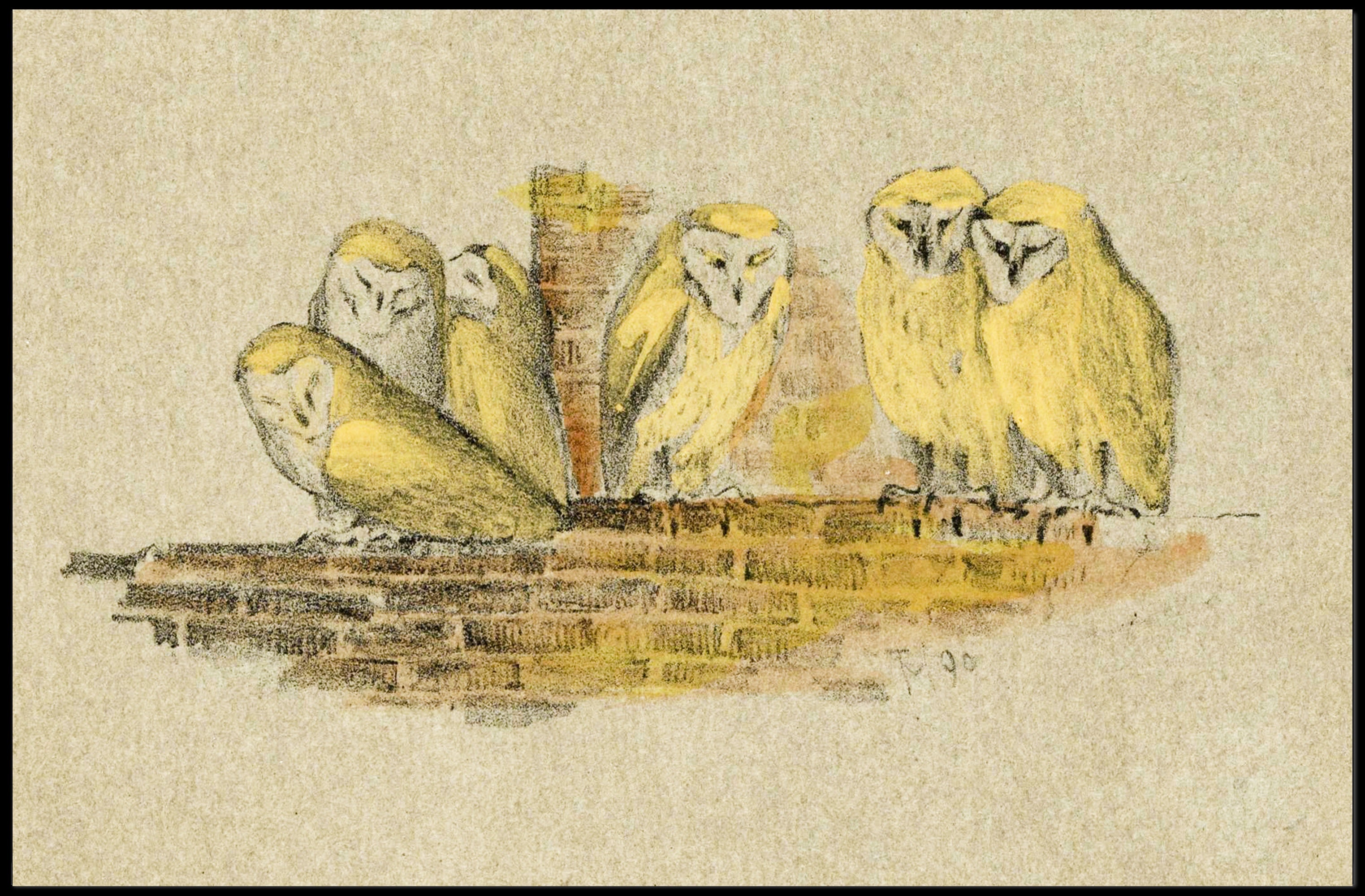 Owls on Rustic Ledge Vintage Animal Poster