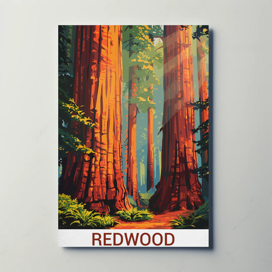 Redwood National Park California Forest Travel Poster