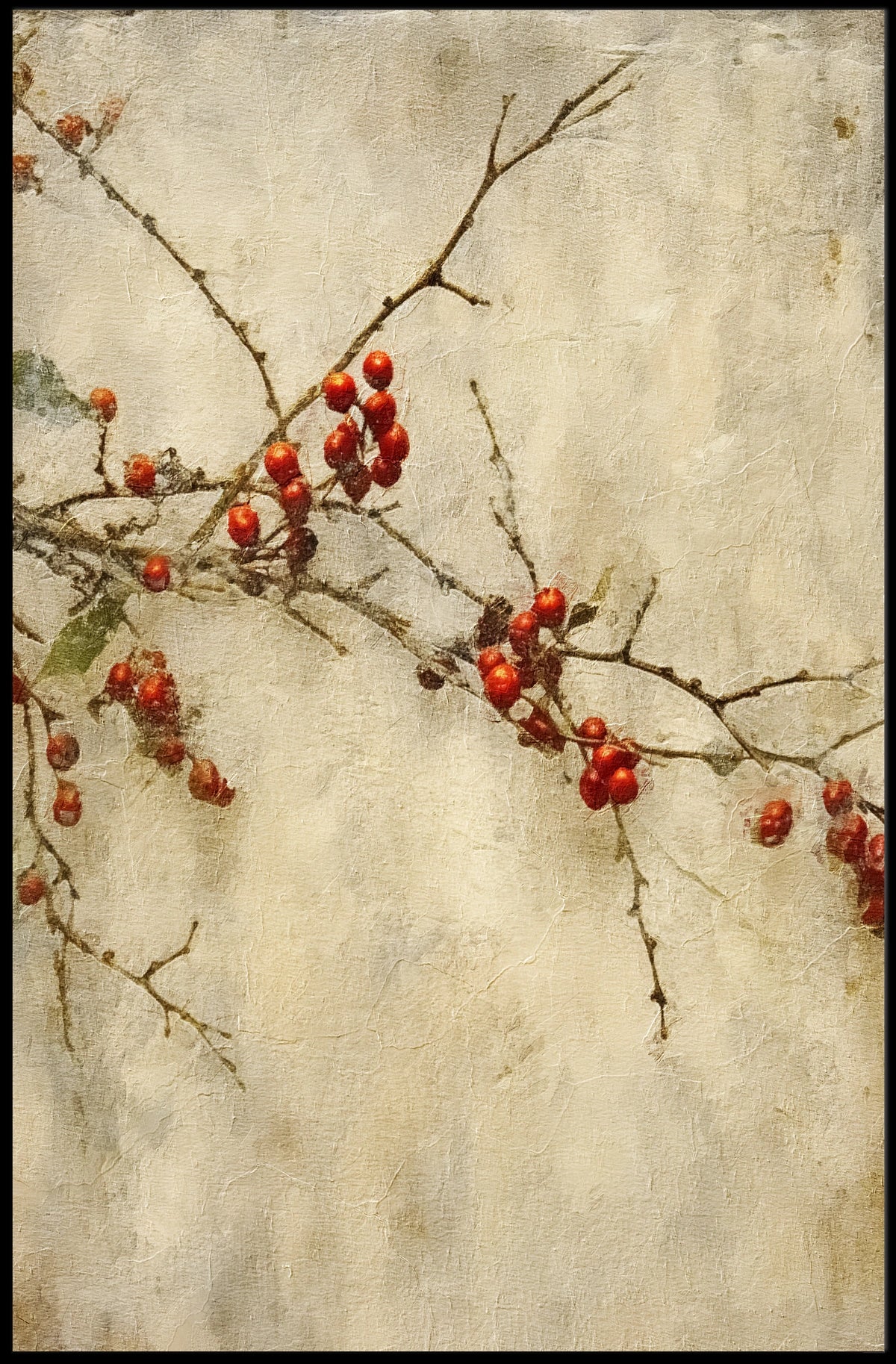Winter Berries Poster