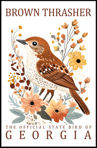 Brown Thrasher Georgia State Bird Art Poster