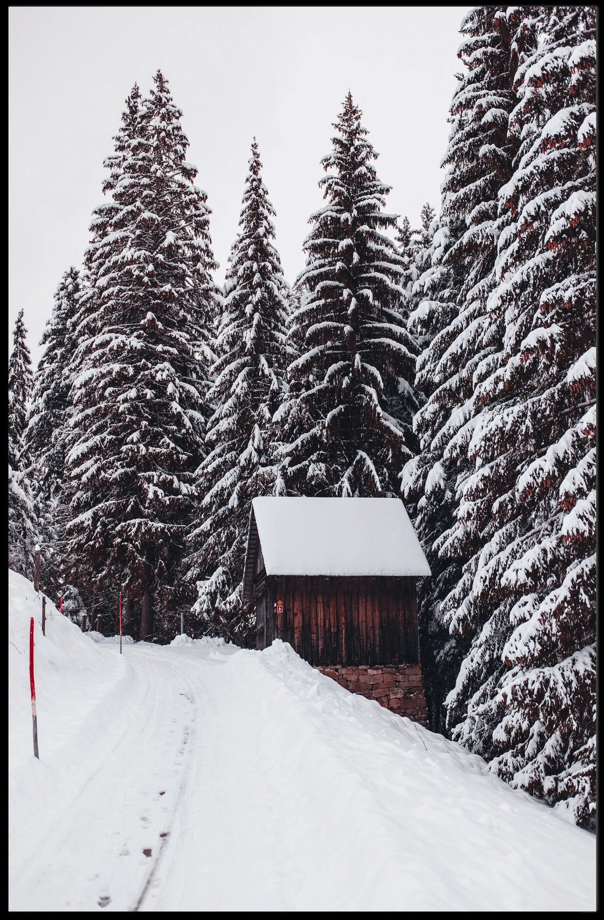 Winter Wonderland Poster