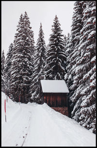 Winter Wonderland Poster