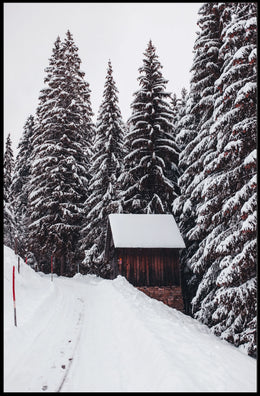 Winter Wonderland Poster