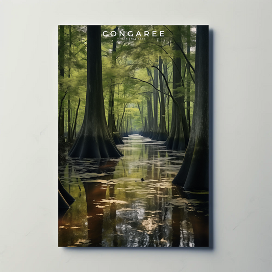 Congaree National Park